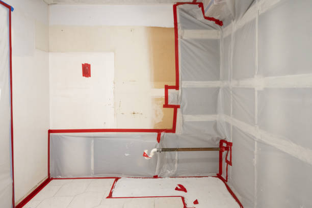  , USA Mold Removal Pros